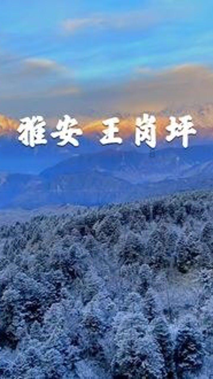 全民烧脑3去广告版
