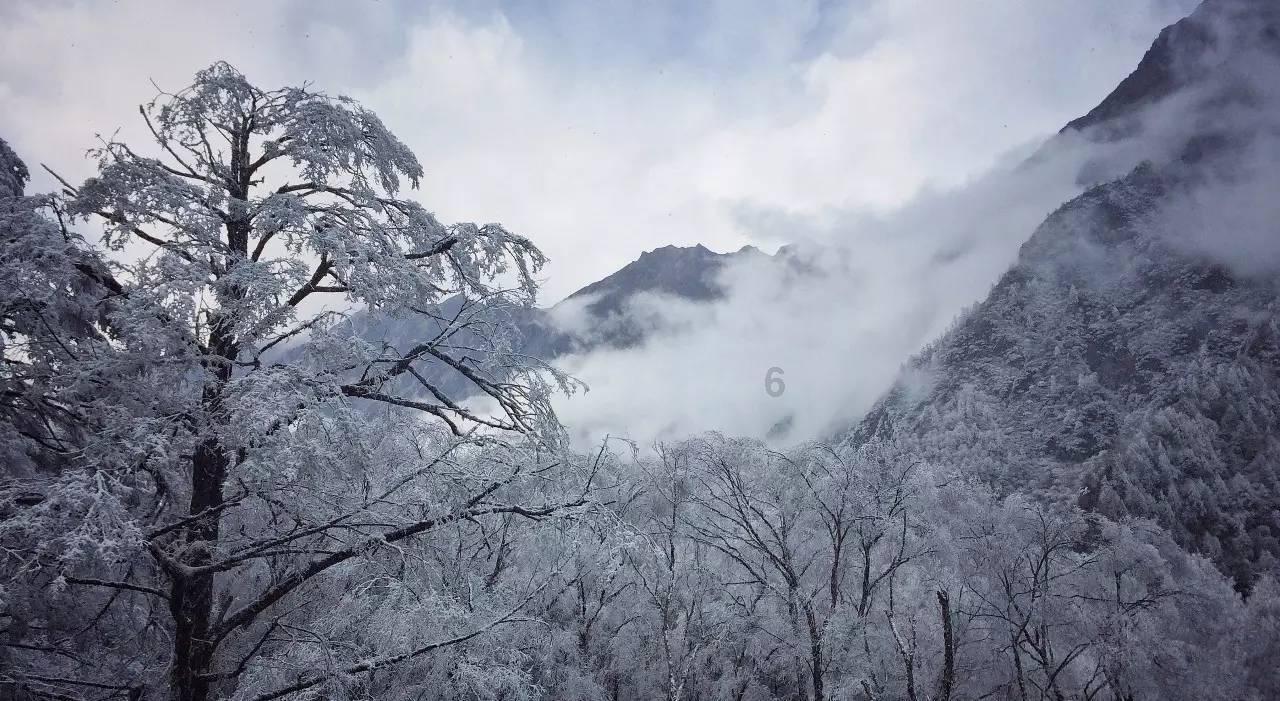 皇帝成长计划2H5