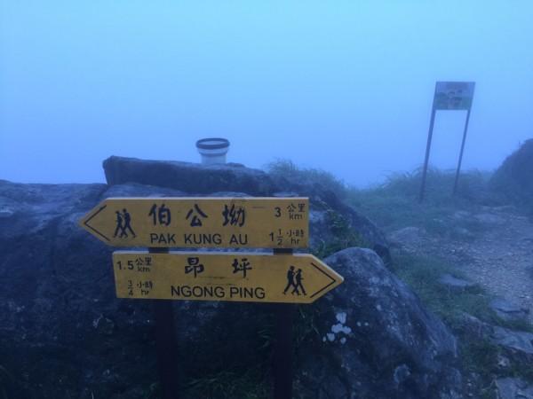 篮球全明星赛2