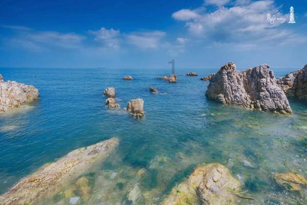 蜜蜂向上跳