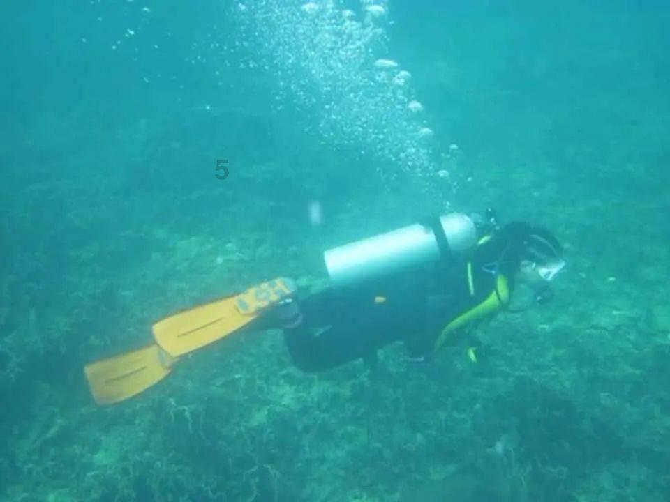 孤岛惊魂3