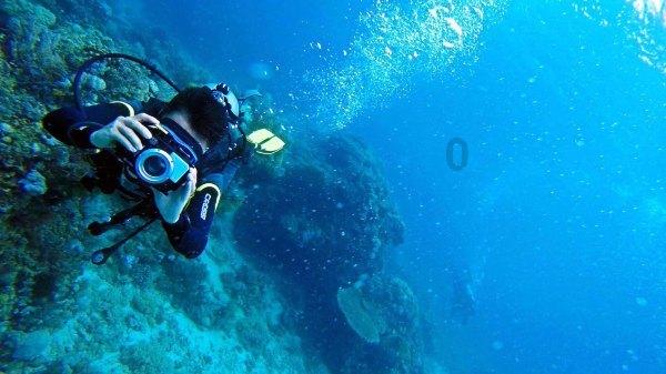 荣誉时刻!思特奇获评“2023年度数字经济创新十大领航企业”