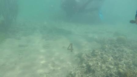 此国本是葡萄牙殖民地,19世纪独立后变成世界强国,如今自甘堕落