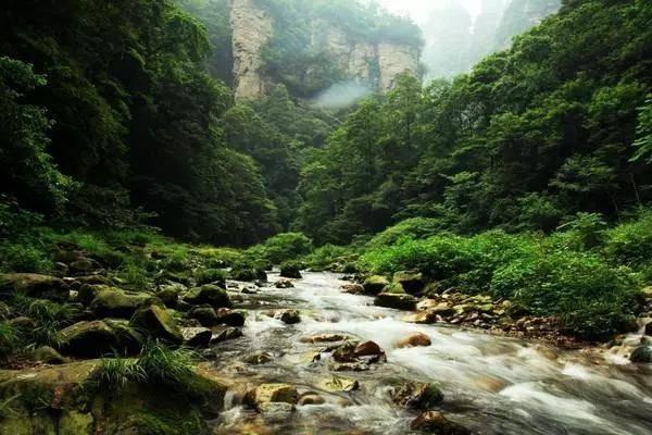 【生活提示】太原植物园科普导览功能上线