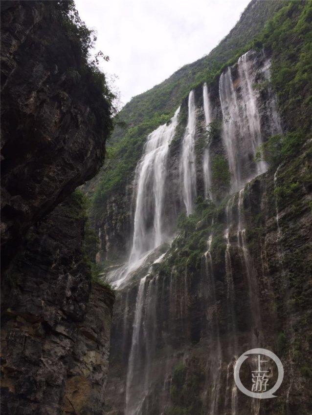 糖尿病食谱——紫菜虾皮南瓜汤