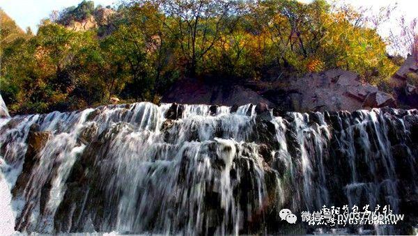 公司员工,接受领导安排从事的工作事后被认定为走私,员工是否构成走私罪?,优质红迪网平台,共享热门话题