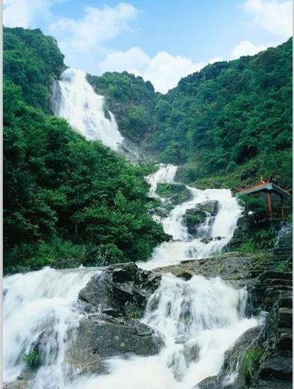 黎明杀机