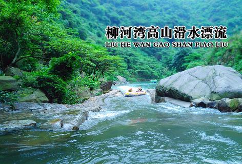 植物大战僵尸10