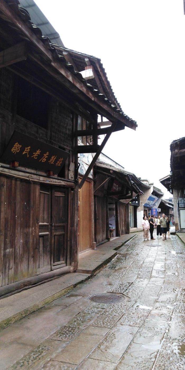 逃离神秘之林