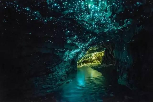 博览组图︱节日市场迎来消费高峰